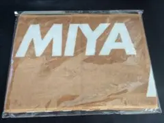 Item thumbnail for item 3eb24aee-9834-4767-8129-6cf4210a96a3