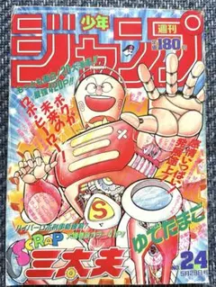 2025年最新】SCRAP三太夫の人気アイテム - メルカリ