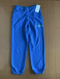 Item thumbnail for item b140bdf5-aed2-408b-b4f2-f21d8628a6f2