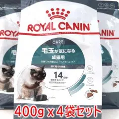 Item thumbnail for item f8cc4ae2-9ea5-4da2-b381-19c5381fed3c