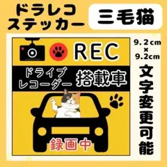 【でぶ三毛猫】ドラレコ　車　ドライブレコーダー　前後　録画　防水　高耐久