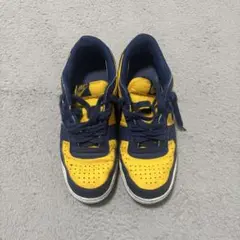 Nike Terminator Low “Michigan”