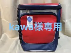 【MIZUNO PRO】ミズノ ミズノプロ バックパック 1FJD990486
