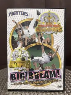 初回限定 BIG DREAM~コンプリート2006 北海道日本ハムファイターズ~