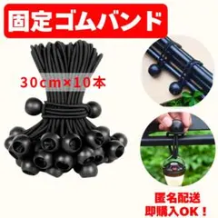 Item thumbnail for item 43fe40b3-e217-4008-b7ed-0ad309f5a581