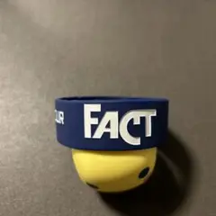 FACT KTHEATツアー ラバーバンド