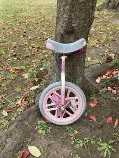 一輪車 スケアクロウ 16インチ ピンク