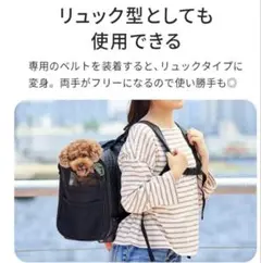 Item thumbnail for item e556137f-a408-4770-8218-86684262e55d