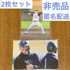 紅林弘太郎 オリジナル写真 2025年 オリックス・バファローズ 2種類