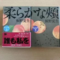 柔らかな頬 上下　2巻