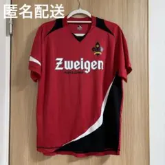 ツエーゲン金沢 Tシャツ 背番号付き　①