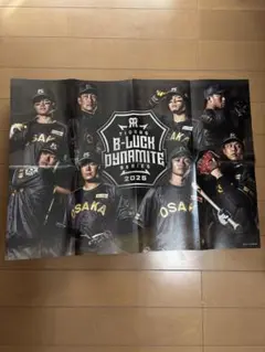 Item thumbnail for item 4f61c0f2-93ca-444e-b376-244ba19adc66