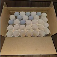 空き芯 50個入り 工作素材
