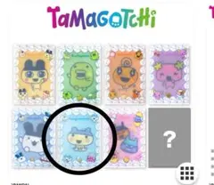 【新品未使用】　サンキューマート　ランダム　ミニポケットファイル　やんぐまめっち