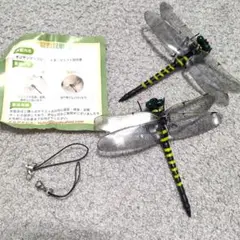 Item thumbnail for item 39a7f23f-abf0-4b86-af12-82eaa40ea434