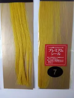 Item thumbnail for item 922d234a-128c-4bb1-b450-5aa85bddb00f