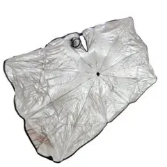 Item thumbnail for item 9f4eee73-b870-4d2f-b5b9-3ab7ca9c62b2