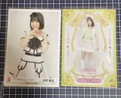 Item thumbnail for item bfaaf2bf-9226-4c81-a6e4-028d39fdda10