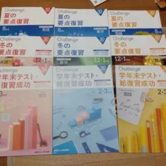 進研ゼミ Challenge 学習テキスト 6冊セット 高一向け