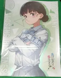 【新品未開封】メロンブックスノベル祭り 負けヒロインが多すぎるA3メタルポスター
