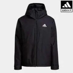 Item thumbnail for item 4136e45c-11f5-48de-a216-07927a8c71d5