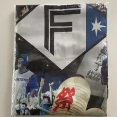 2023年バージョン　ファイターズはっぴ