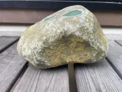 Item thumbnail for item 68223361-0329-4f9c-9863-39f370e1e2fc