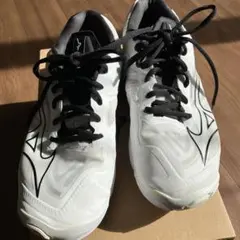 Item thumbnail for item a6059674-086c-40aa-89a3-b1aa41d22960