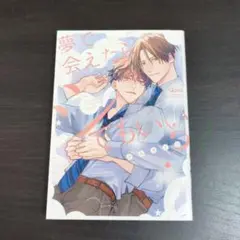 ✮送料込✮夢で会えたらシてもいい?