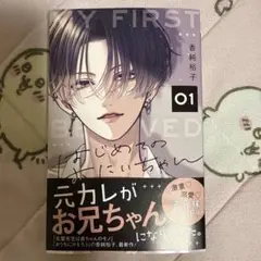 はじめてのおにいちゃん 1巻