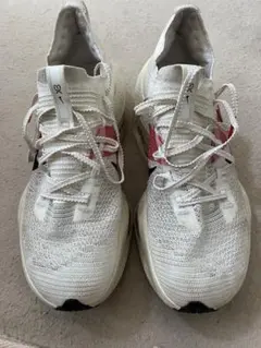 Item thumbnail for item 90ba28bf-483f-415d-9f94-2c99602b2485