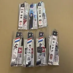 バラ売り⭕️ ヤクルトスワローズ マッチデーボンフィン