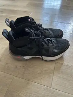 NIKE ナイキ DD7421-091 エア ジョーダン　25㎝　　箱無し