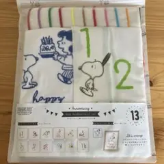 [未開封]スヌーピー 月齢ガーゼ＋タオルセット 13枚セット