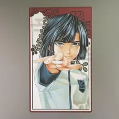 ヒカルの碁 原画展 入場特典 塔矢アキラ 花札カード ヒカ碁