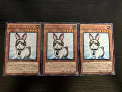 レスキューラビット3枚　字レア　PHSW