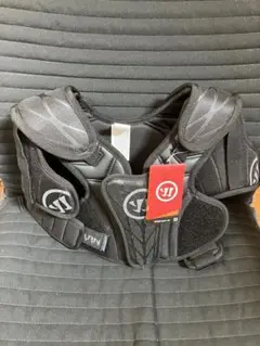 Item thumbnail for item 059a4c00-7cf0-4aea-87db-a19e5ca40573
