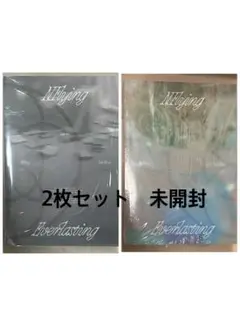 N.Flying Everlasting 2枚組　未開封