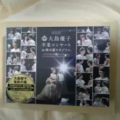 大島優子卒業コンサート in 味の素スタジアム