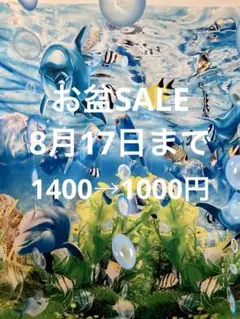 ネットレギンス3組セット未使用品