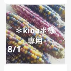 ＊kina＊様　専用