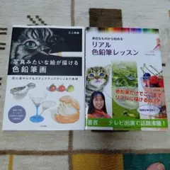 三上詩絵　２冊セット
