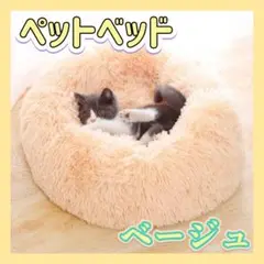 Item thumbnail for item 2058c35e-cd29-4005-b4b3-d1d2b338e720