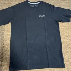 patagonia M Tシャツ　カッコイイ‼️