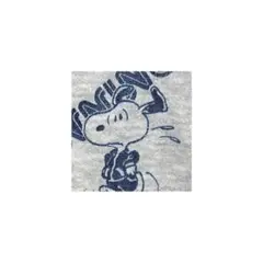 ▪️70’s【SNOOPY】ARTEX PARKA