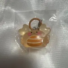 かにかにくらぶ だいだい