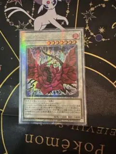 ブラック・ローズ・ドラゴン イラスト違い 25thシークレット アジア版