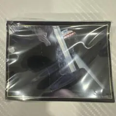 FGO Fate ジャンヌ オルタ 邪ンヌ スリーブ KWKM クラスター