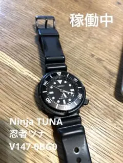 Item thumbnail for item f1db332e-e145-422b-a1eb-41e9b4ee278a