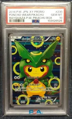 50フォロワーいったら10万円値下げします ポンチョを着たピカチュウ レックウザ 値下げ希望可】 ポンチョを着たピカチュウ（レックウザ）